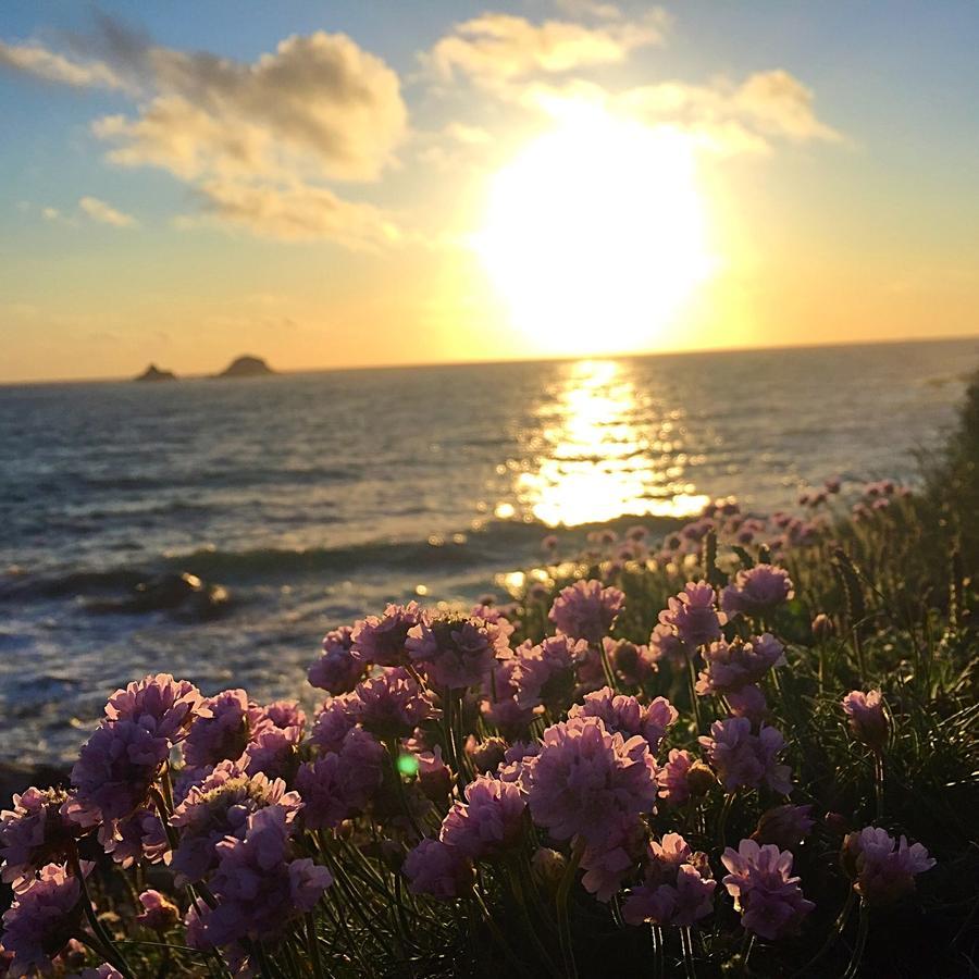 Roselands Caravan Park, Nr Lands End, Cornwall Holiday home